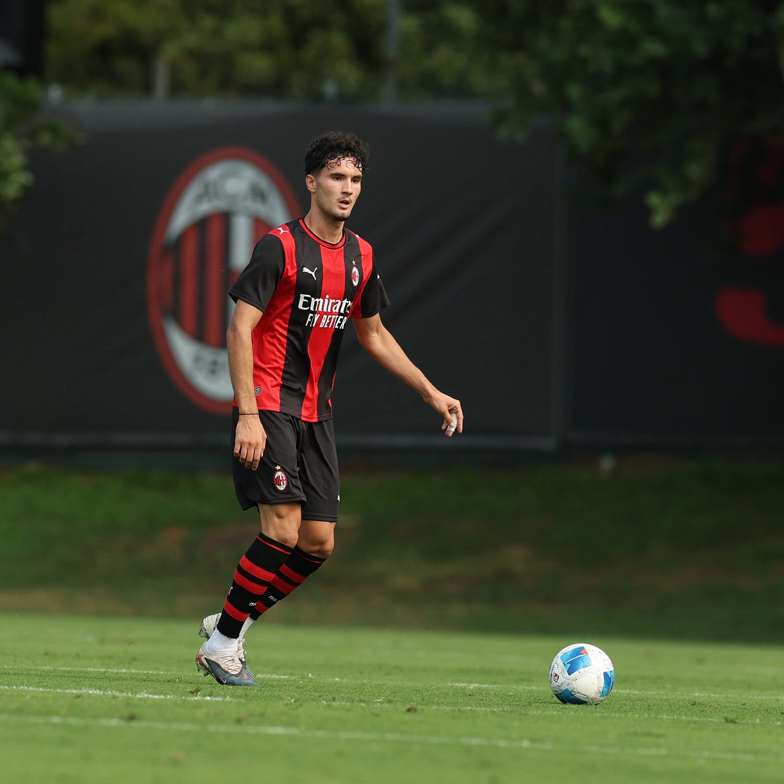 OFFICIAL STATEMENT: DEMIREL HODZIC