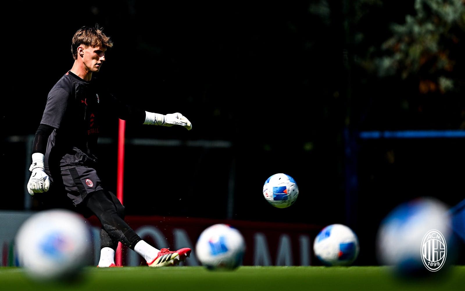 Matteo Pittarella